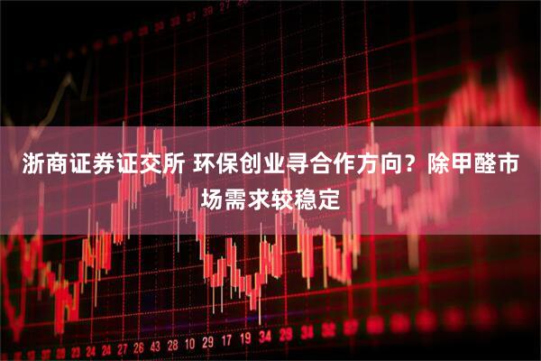 浙商证券证交所 环保创业寻合作方向？除甲醛市场需求较稳定