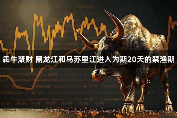 犇牛聚财 黑龙江和乌苏里江进入为期20天的禁渔期