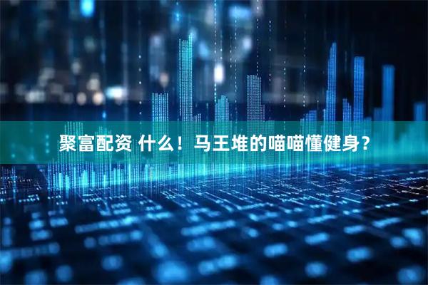 聚富配资 什么！马王堆的喵喵懂健身？