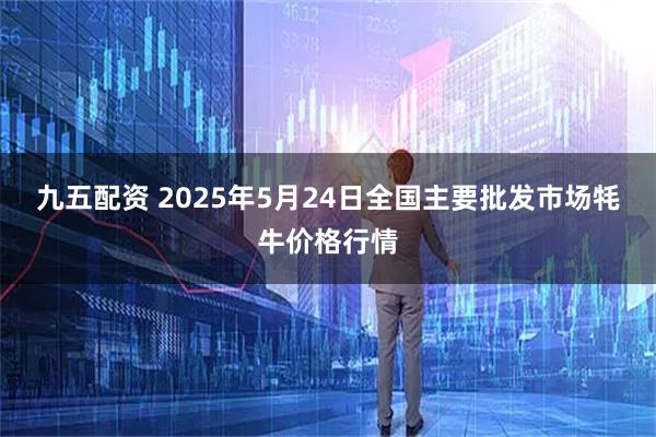 九五配资 2025年5月24日全国主要批发市场牦牛价格行情
