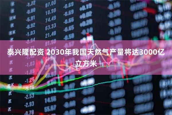 泰兴隆配资 2030年我国天然气产量将达3000亿立方米